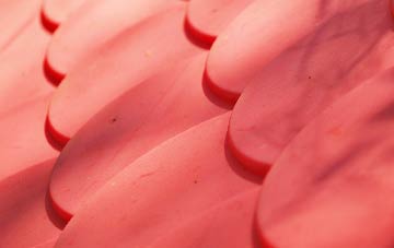 Ceidio plastic roof costs