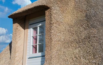 Ceidio thatch roof disadvantages
